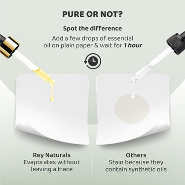 Rey Naturals Pure Rosemary Essential Oil For Hair Growth, Hairfall Control, Dandruff & Skin | Non Greasy Rosemary Oil for Skin, Body and Shiny Soft Hair | Hair Oil For Women & Men - 15ml